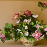 "Flower basket" by Hafiz Issadeen is licensed under CC BY 2.0