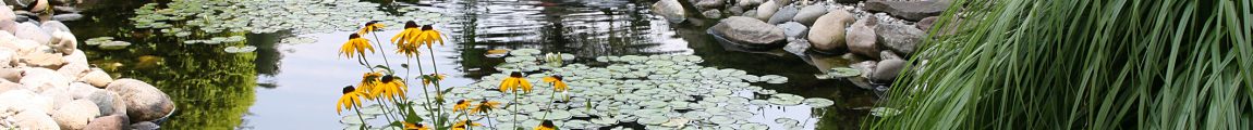 Garden Club of Hunterdon Hills